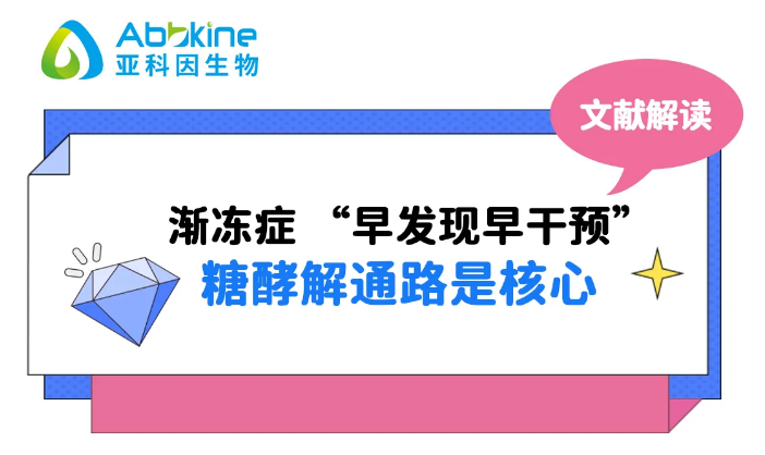 【文献解读】渐冻症 “早发现早干预”:糖酵解通路是核心