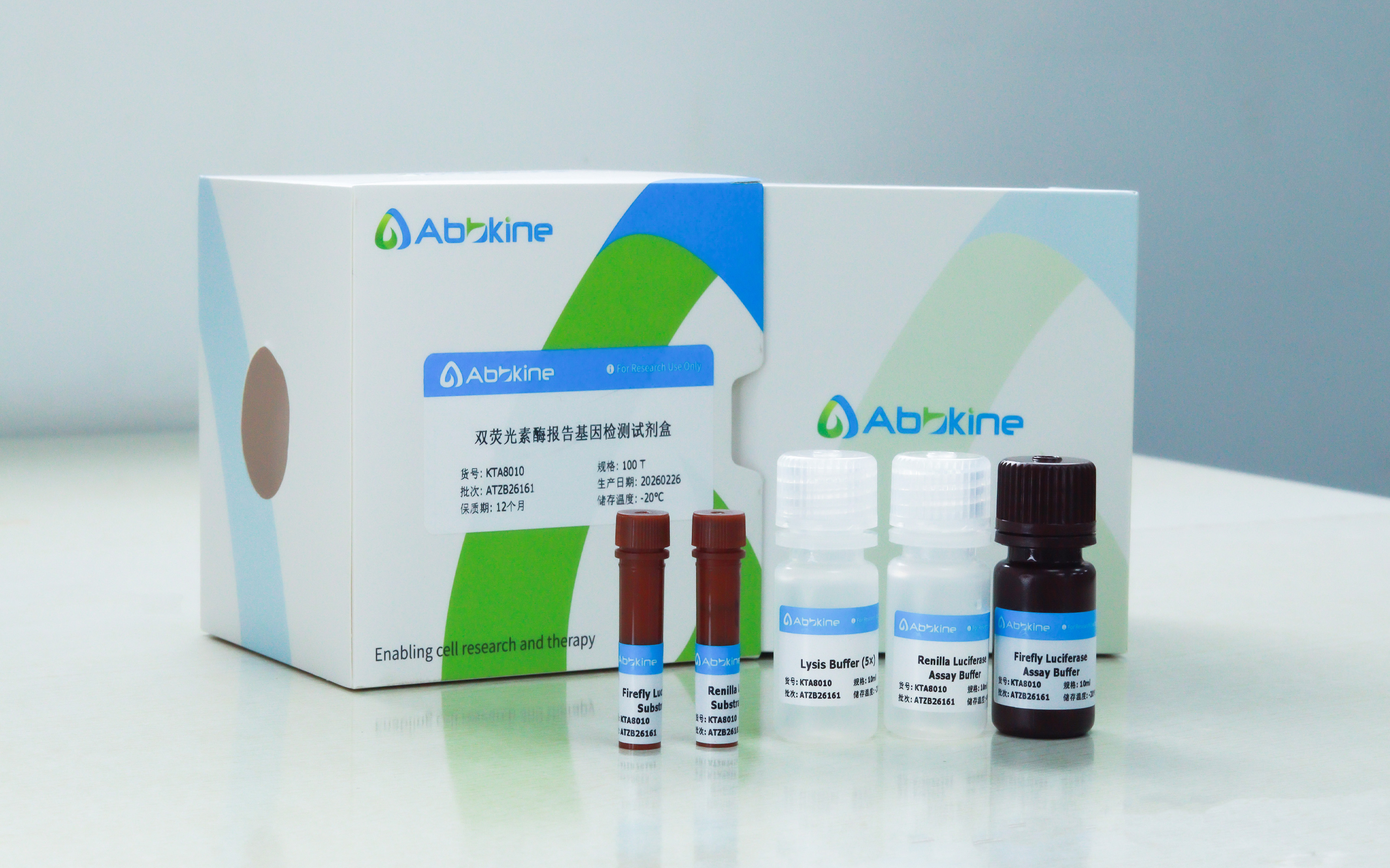双荧光素酶报告基因检测试剂盒（货号KTA8010）实操视频