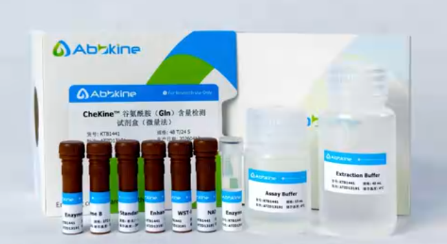 谷氨酰胺(Gln)含量检测试剂盒(货号KTB1441 )实操全攻略视频来啦!
