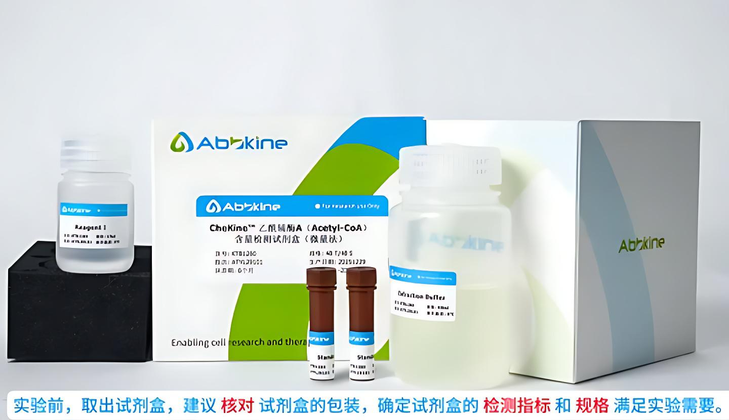 乙酰辅酶A(Acetyl-CoA)含量检测试剂盒(货号KTB1260 )实操全攻略视频