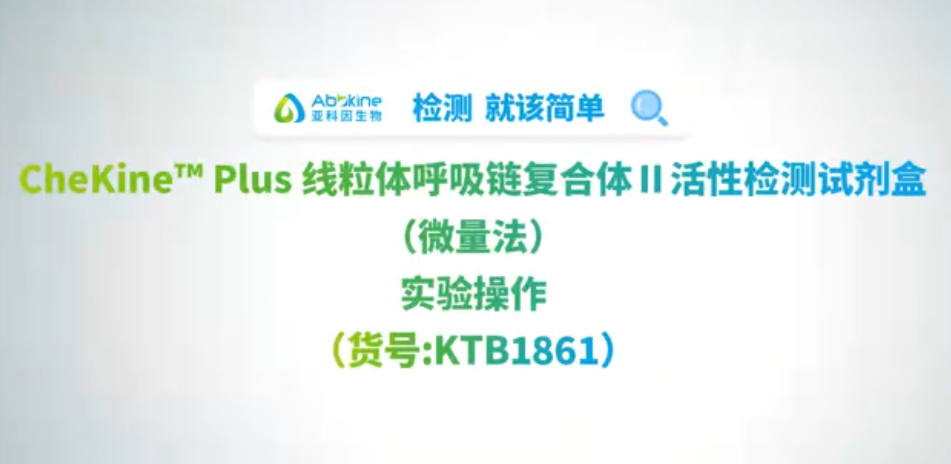 线粒体呼吸链复合体II(货号KTB1861)实操攻略视频