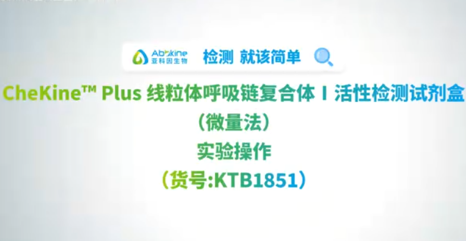 线粒体呼吸链复合体I(货号KTB1851)实操攻略视频